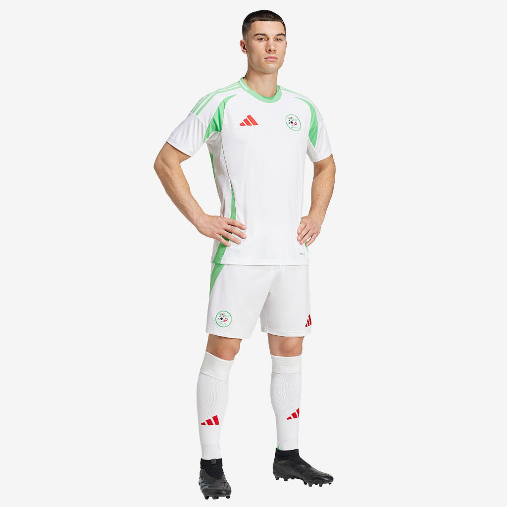 adidas Algeria 2024 Home Shorts