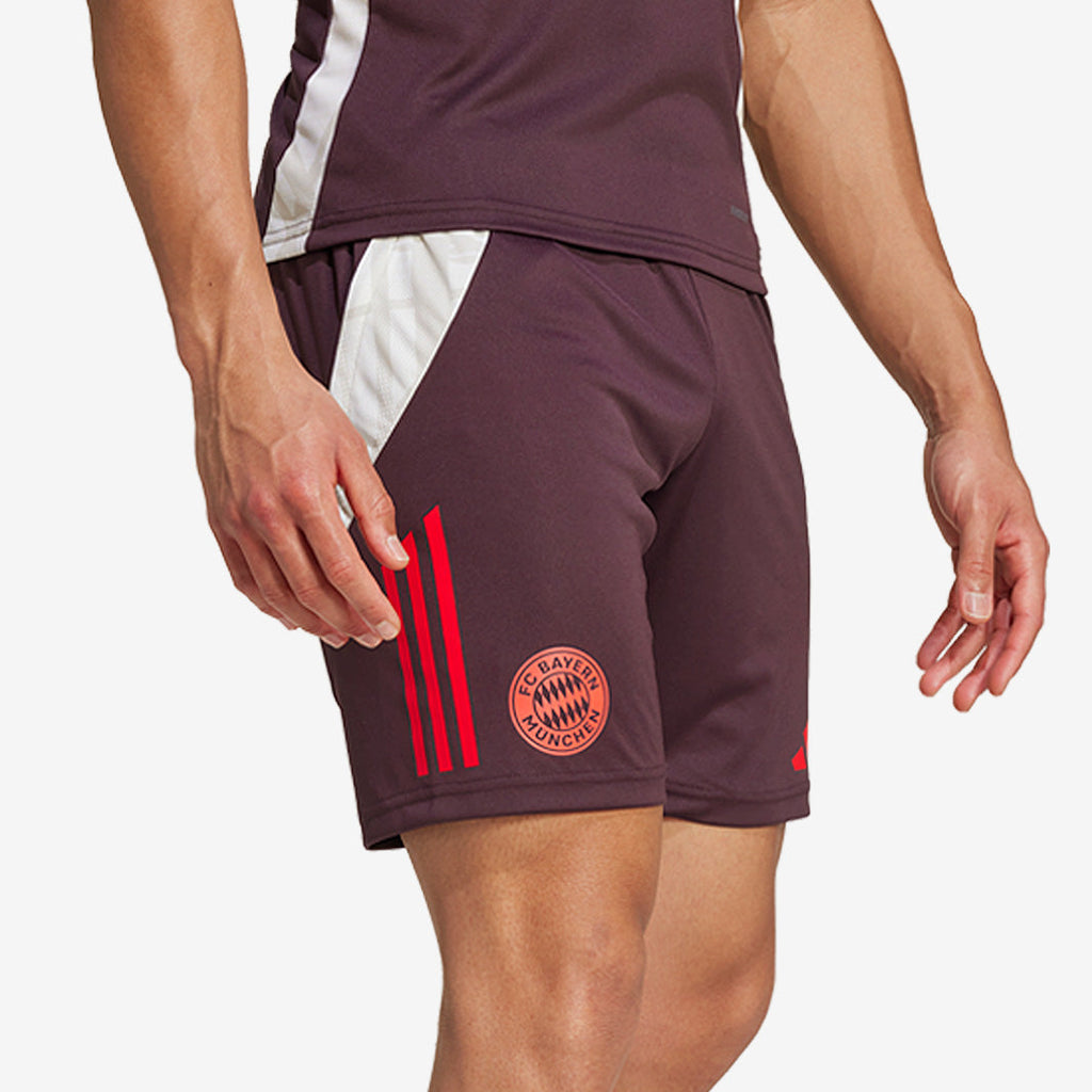 adidas Bayern Munich 24/25 Training Shorts