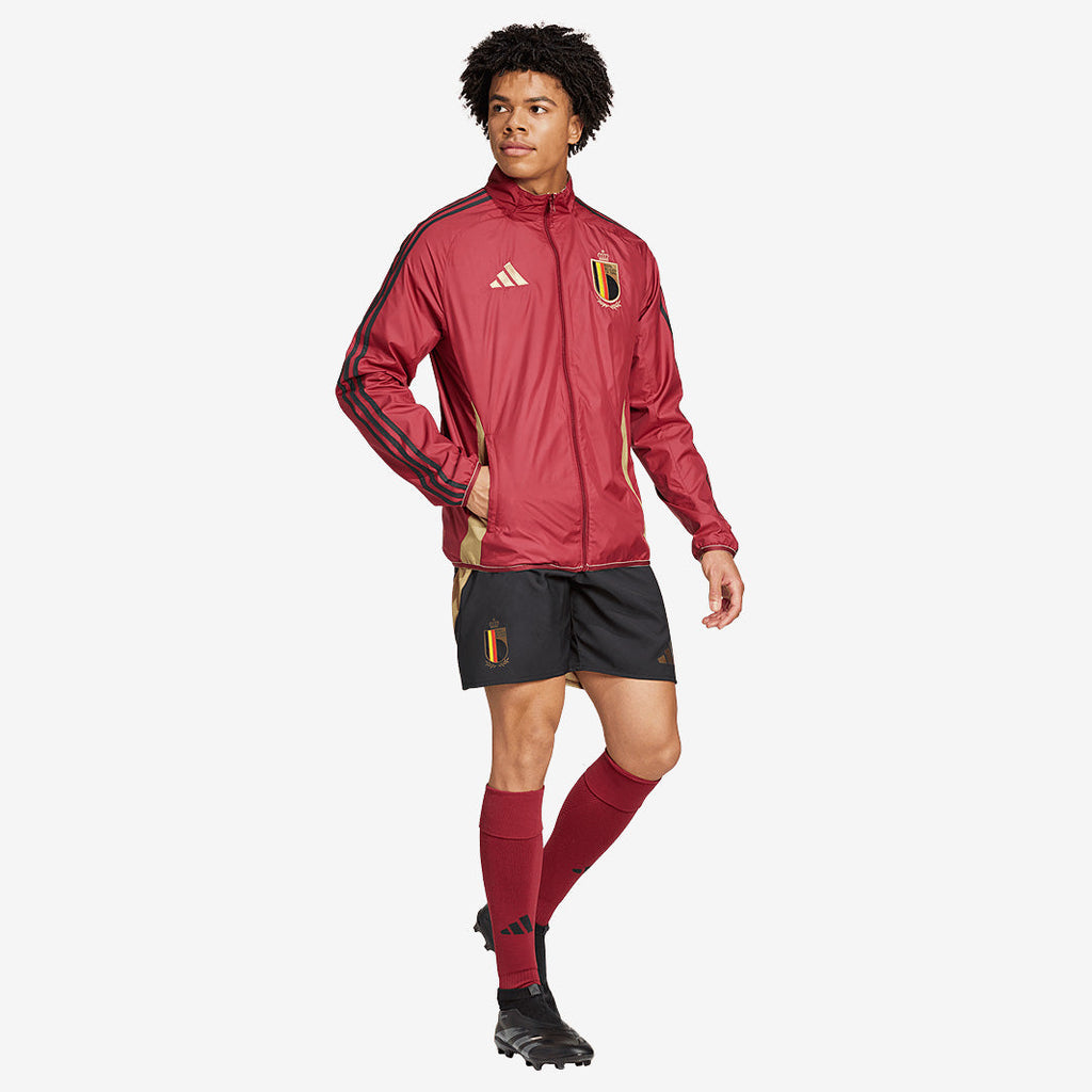 adidas Belgium 2024 Anthem Jacket