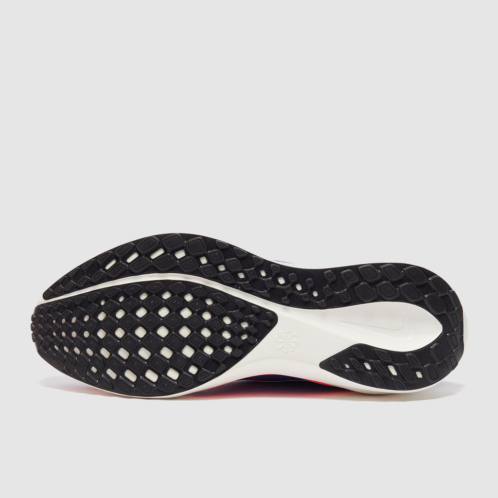 Nike Pegasus Easyon