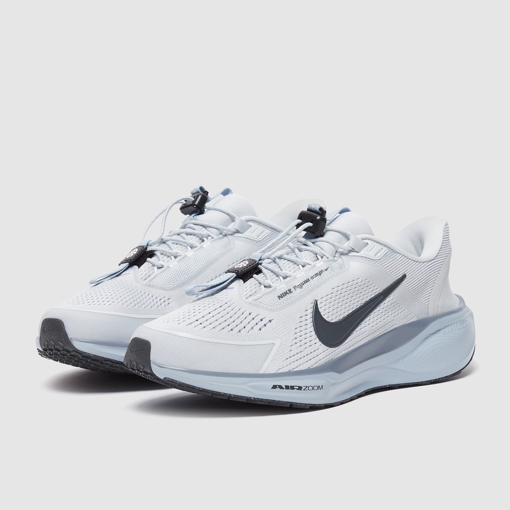 Nike Pegasus Easyon