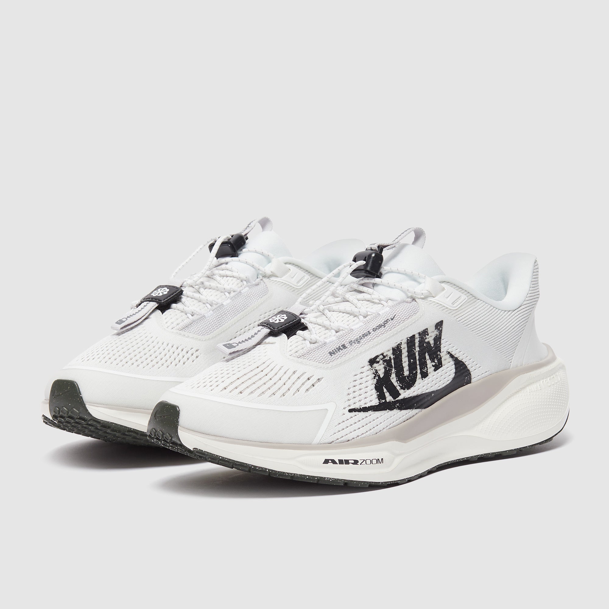 Nike Pegasus Easyon
