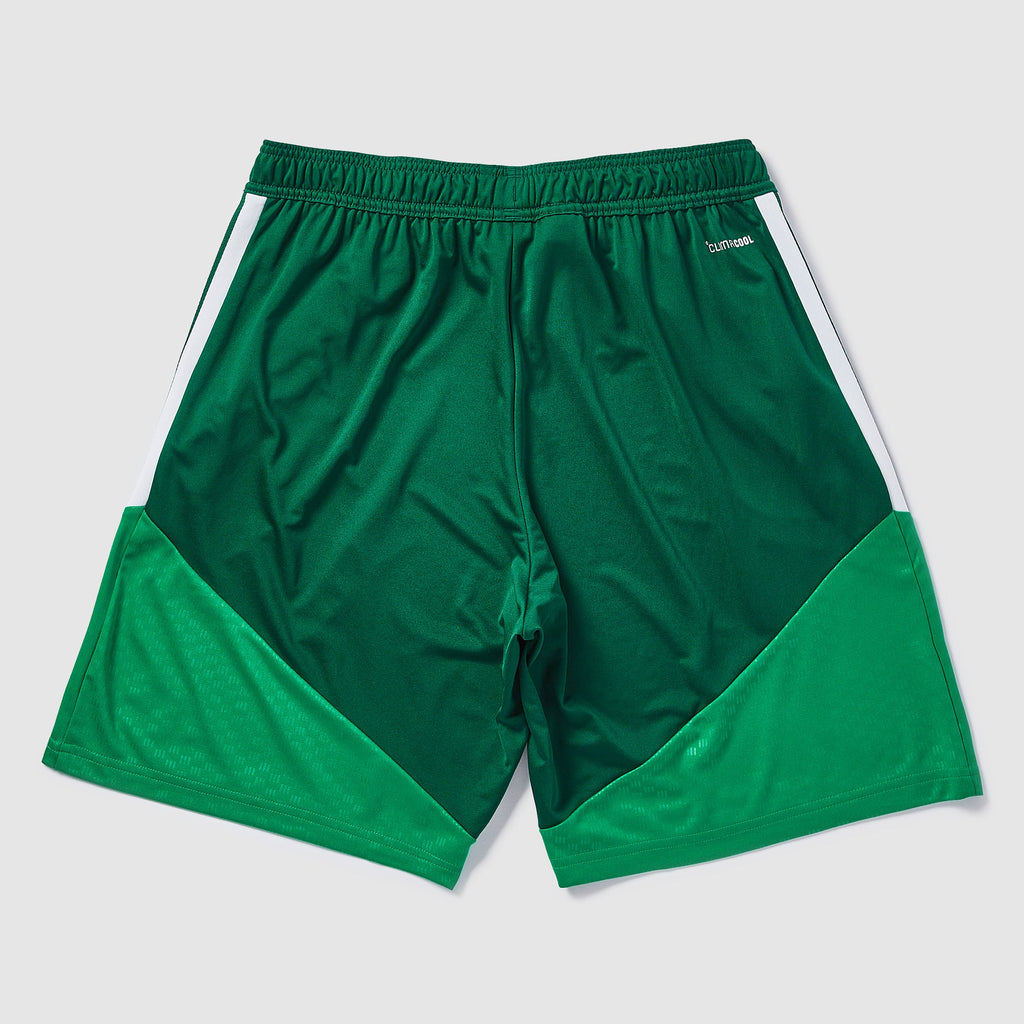 adidas Algeria 2026 Training Shorts
