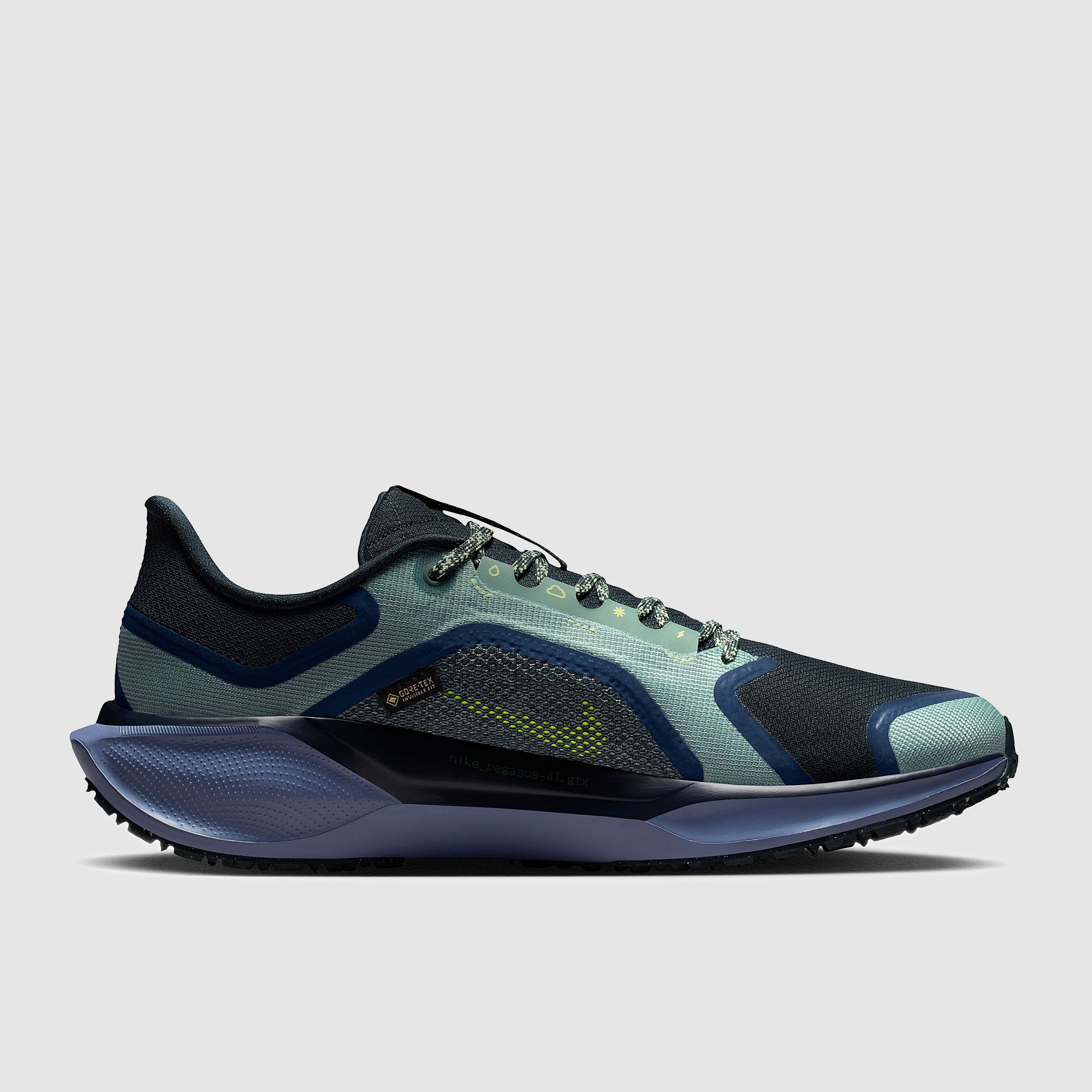 Nike Air Zoom Pegasus 41 GORE-TEX