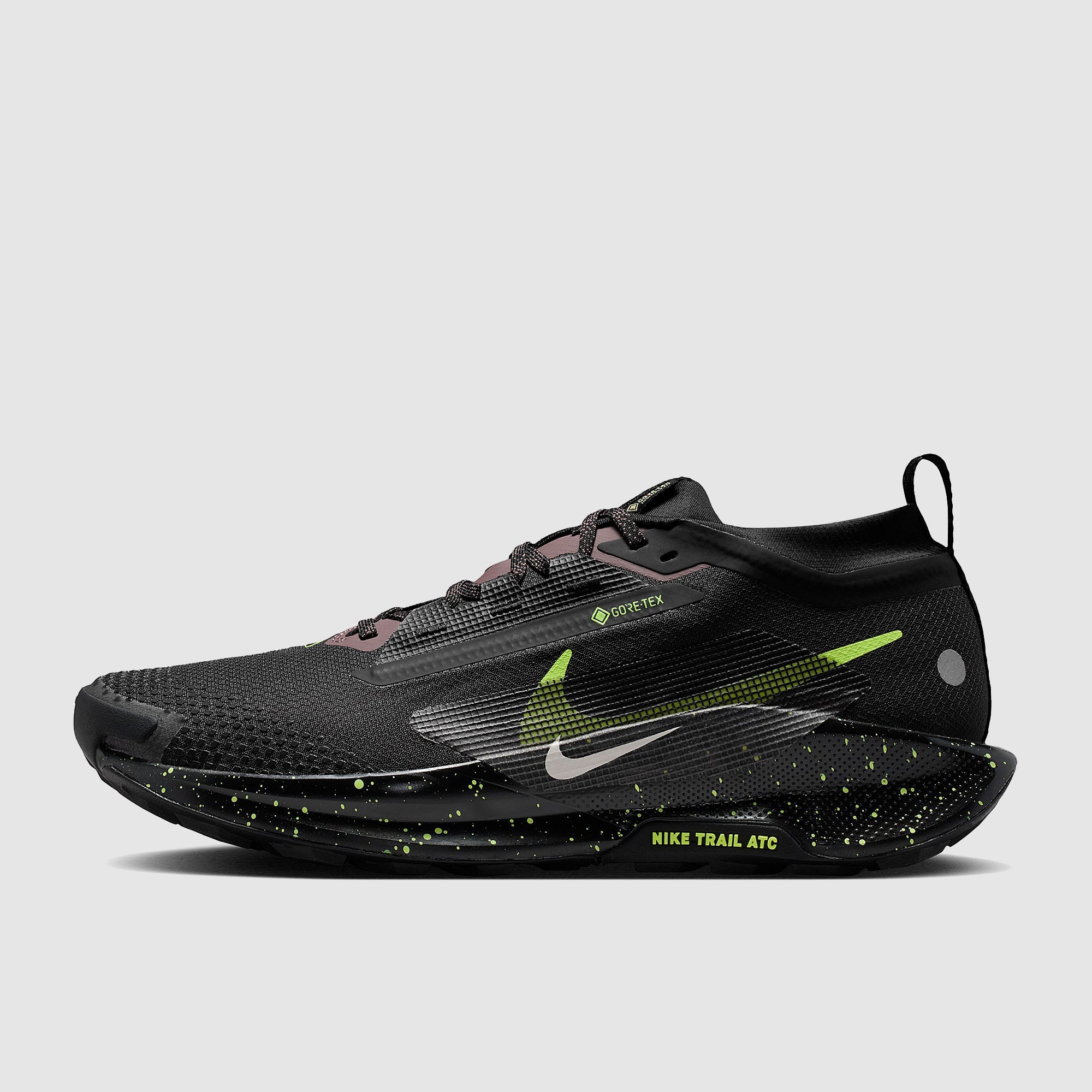 Nike Pegasus Trail 5 GORE-TEX