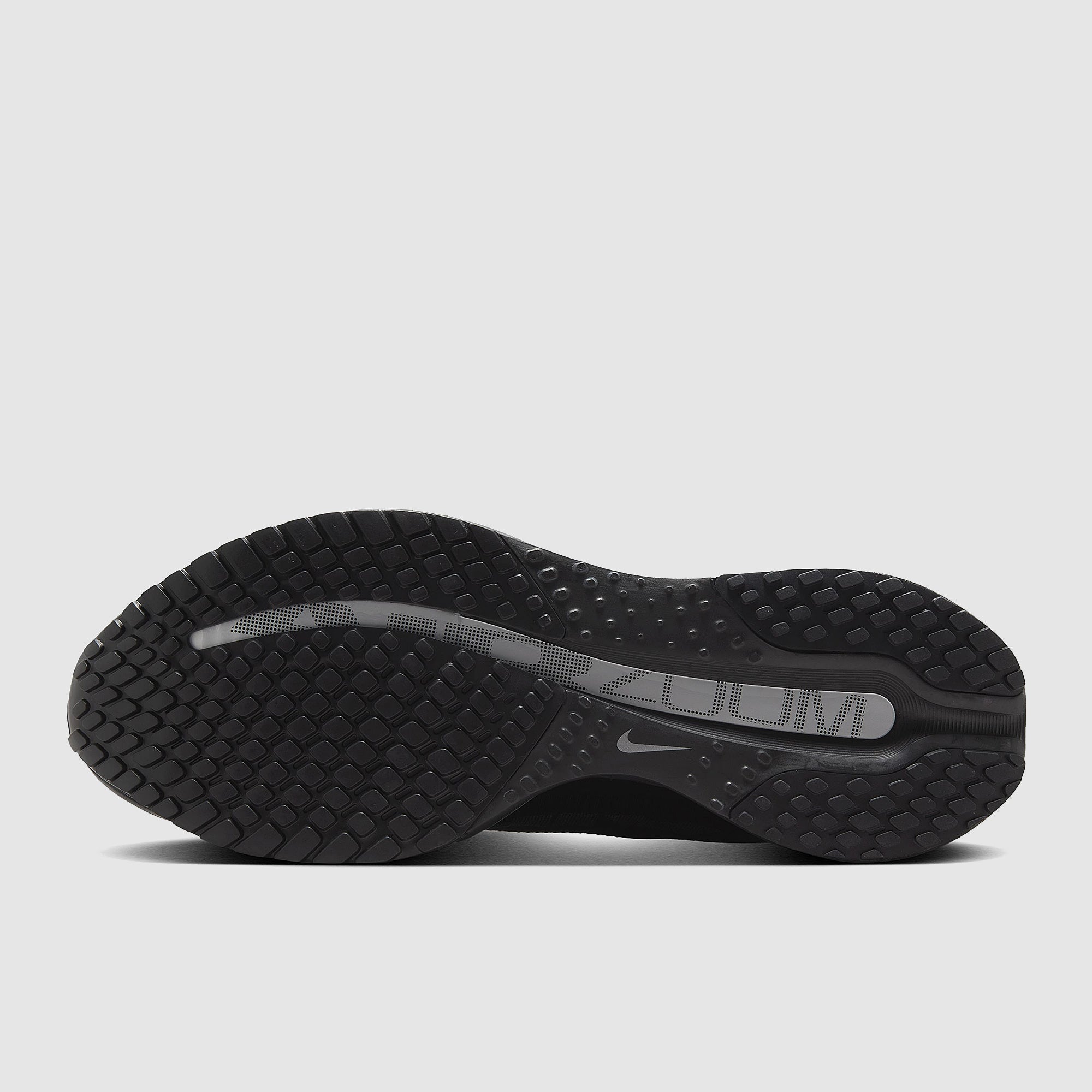Nike Pegasus Premium